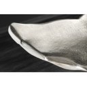 WHALE design fém lerakóasztal - 56cm - ezüst