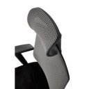 FLEX ergonomikus forgószék állítható fejtámlával – fekete / szürke